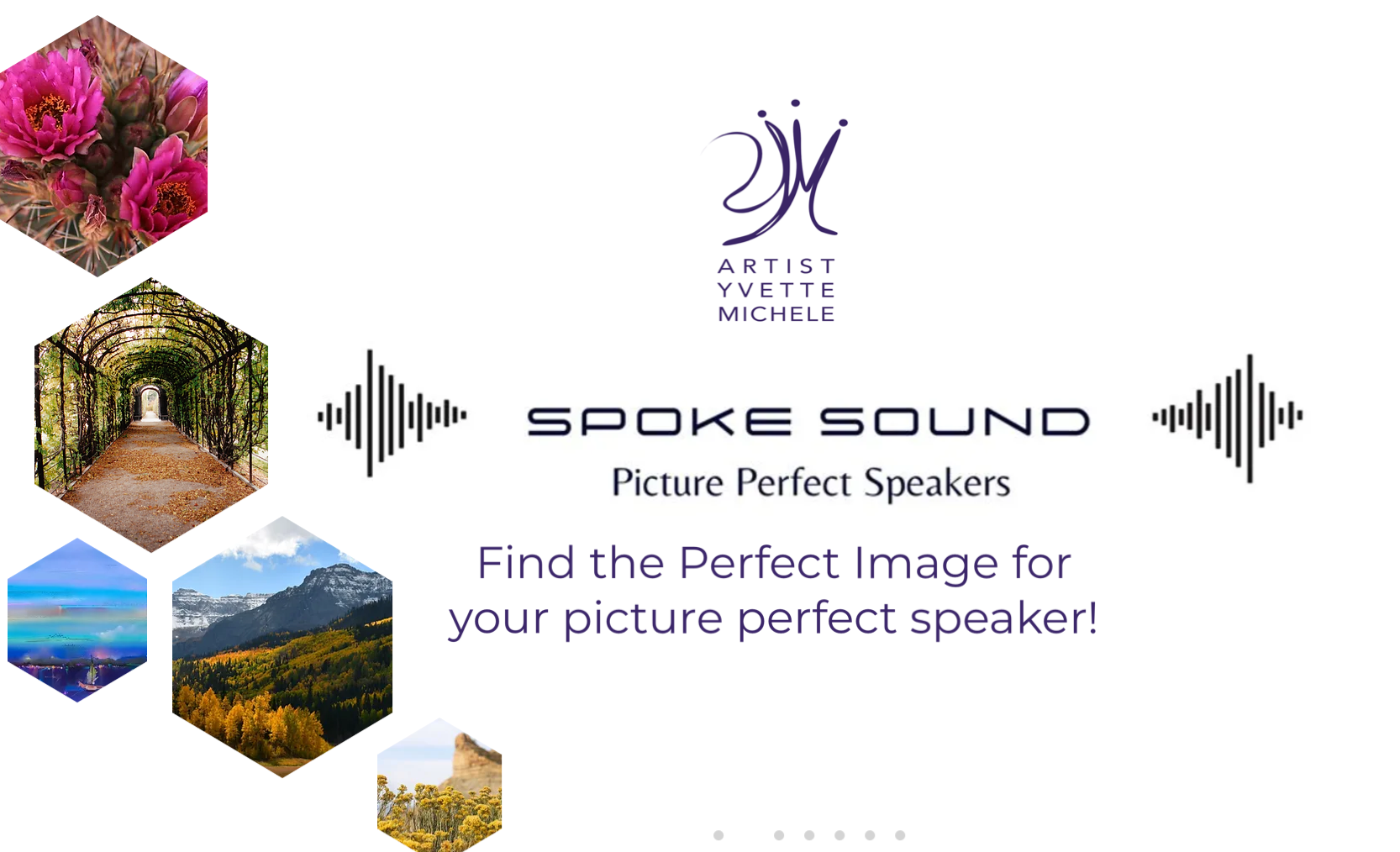 Picture Perfect Bluetooth Speakers